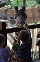 Kids_DZooWThomas (19)